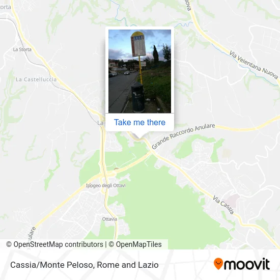 Cassia/Monte Peloso map