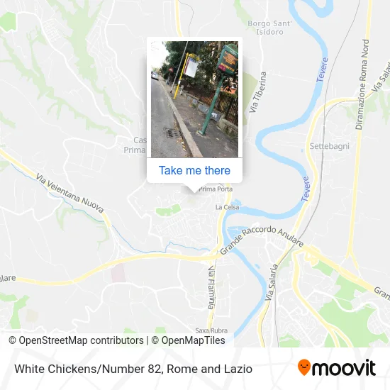 White Chickens/Number 82 map