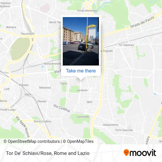 Tor De' Schiavi/Rose map