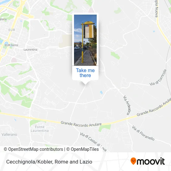 Cecchignola/Kobler map