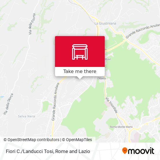 Fiori C./Landucci Tosi map