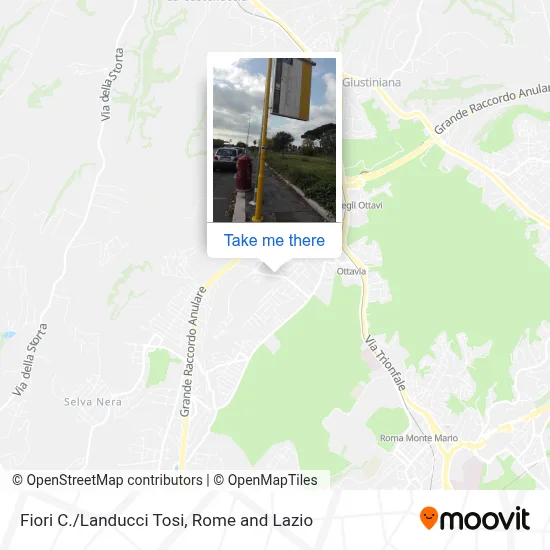 Fiori C./Landucci Tosi map