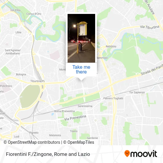 Fiorentini F./Zingone map