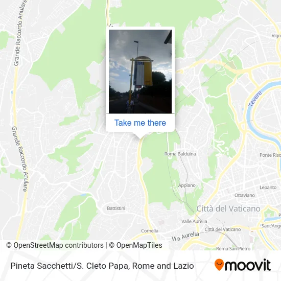 Pine Sacchetti/St. Cletus Pope map