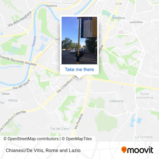 Chianesi/De Vitis map