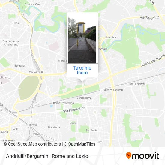 Andriulli/Bergamini map