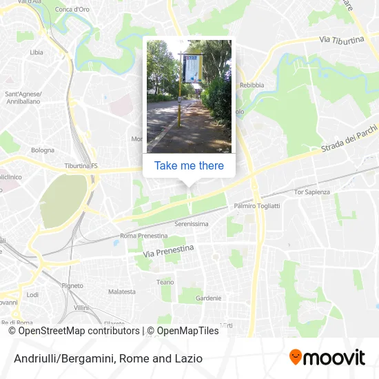 Andriulli/Bergamini map