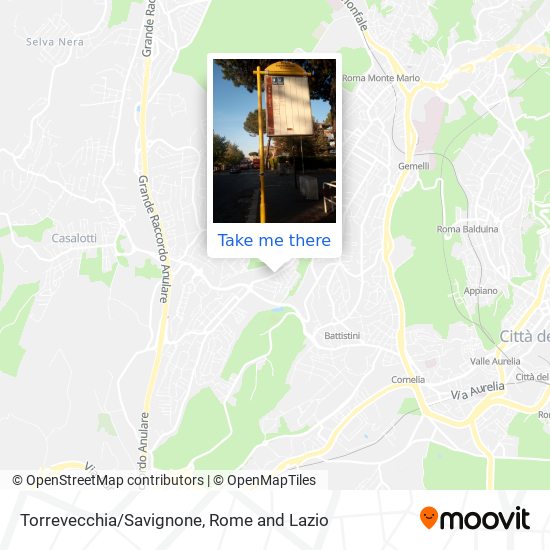 Torrevecchia/Savignone map