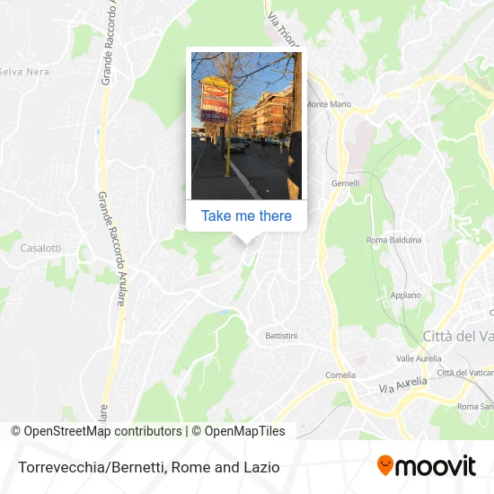 Torrevecchia/Bernetti map