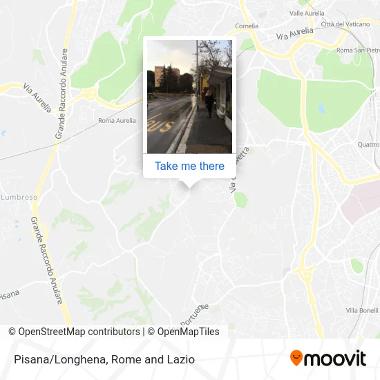 Pisana/Longhena map