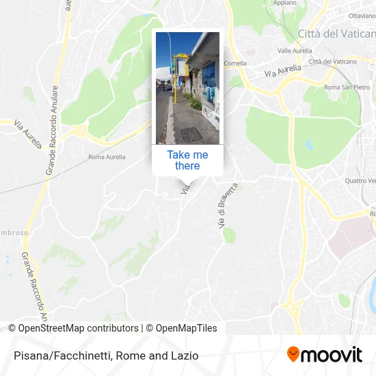 Pisana/Facchinetti map