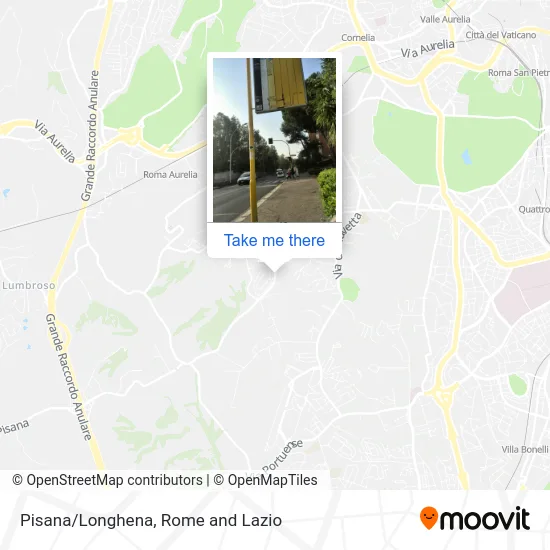 Pisana/Longhena map