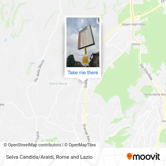 Selva Candida/Araldi map