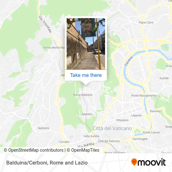 Balduina/Cerboni map