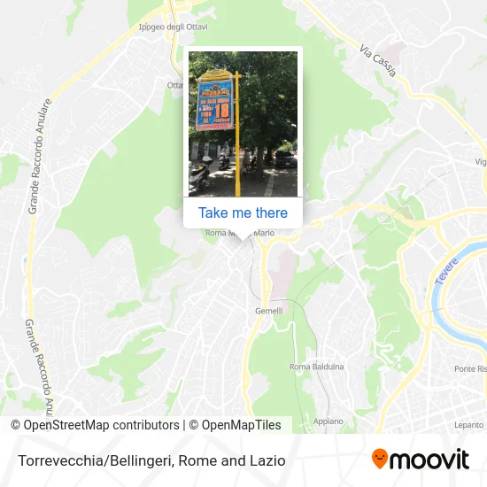 Torrevecchia/Bellingeri map