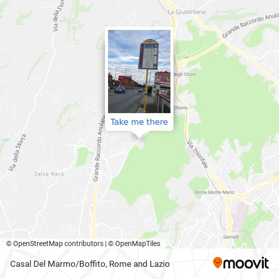 Casal Del Marmo/Boffito map