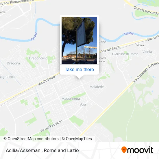 Acilia/Assemani map