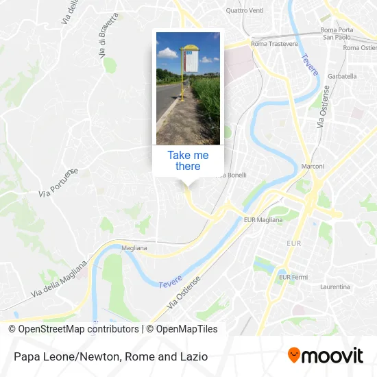 Papa Leone/Newton map