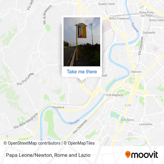 Papa Leone/Newton map