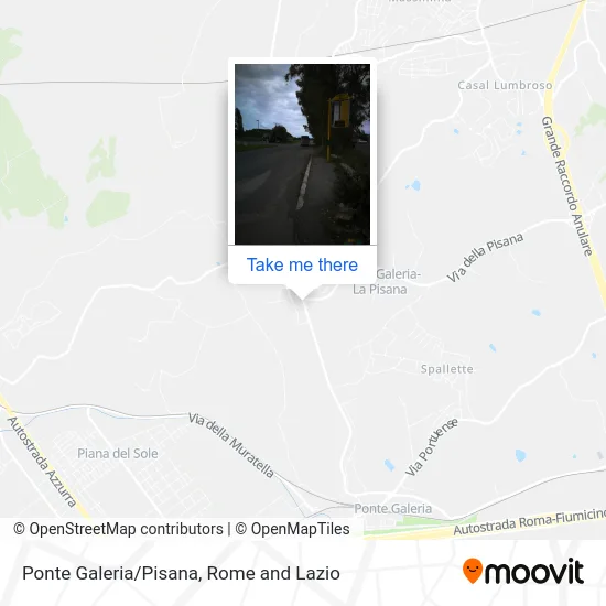 Ponte Galeria/Pisana map
