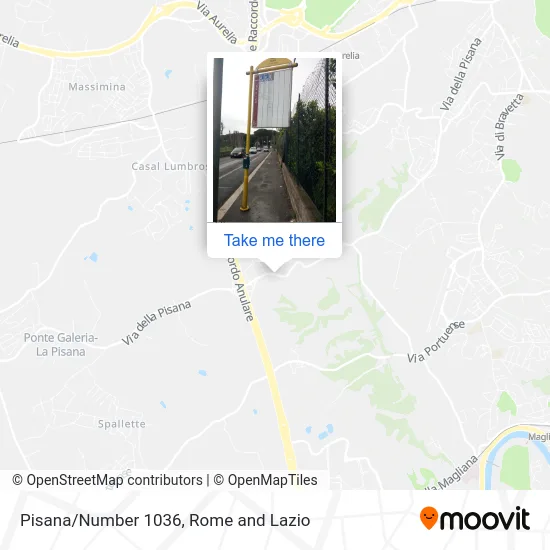 Pisana/Number 1036 map