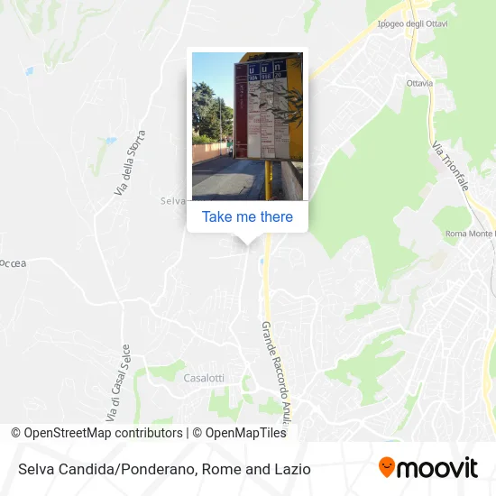 Selva Candida/Ponderano map