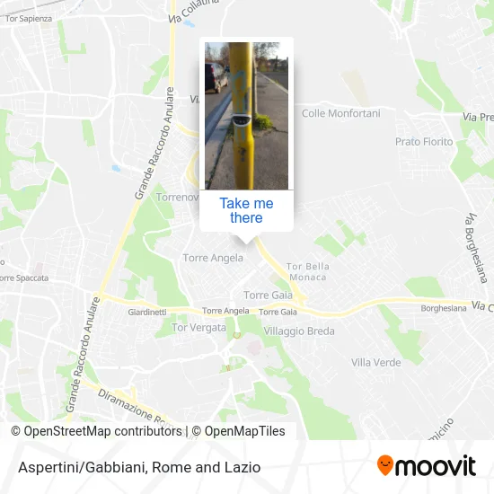 Aspertini/Gabbiani map