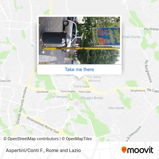 Aspertini/Conti F. map