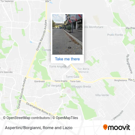 Aspertini/Borgianni map