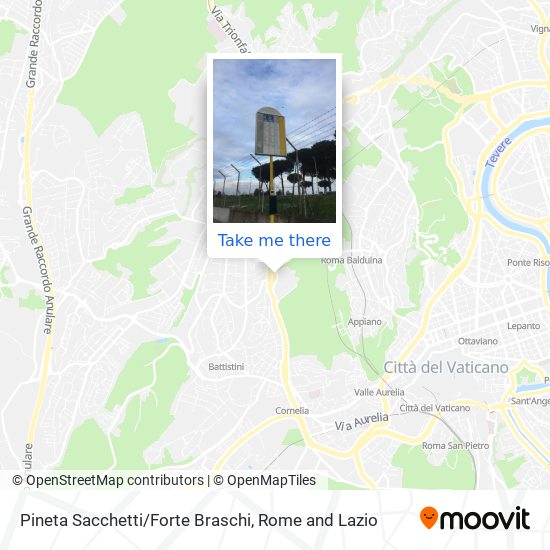 Pineta Sacchetti/Forte Braschi map