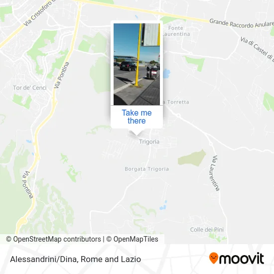 Alessandrini/Dina map