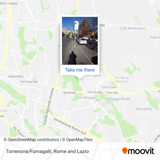 Torrenova/Fumagalli map