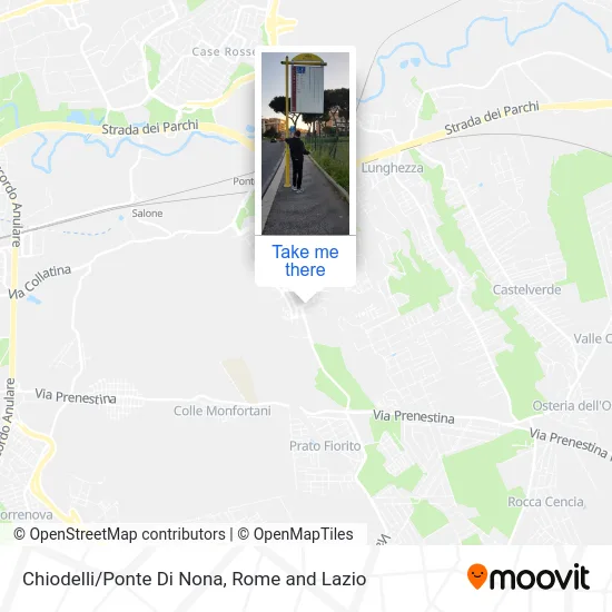 Chiodelli/Ponte Di Nona map
