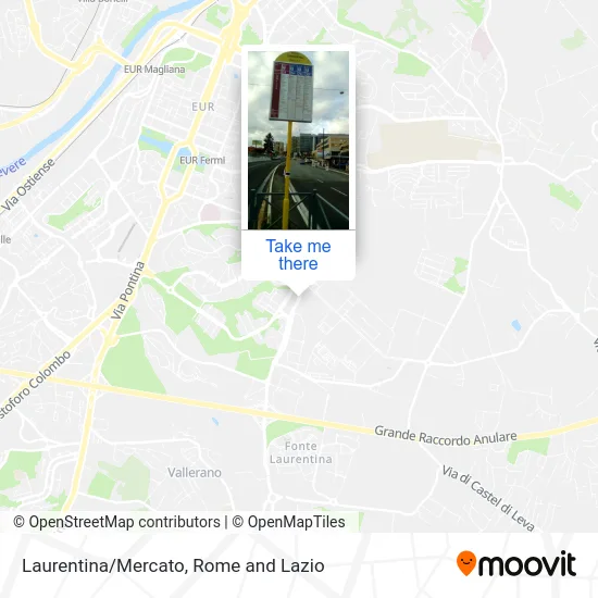 Laurentina/Market map