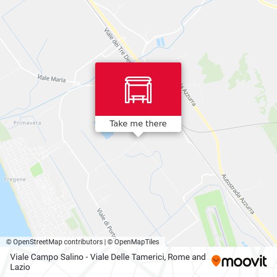 Viale Campo Salino - Viale Delle Tamerici map