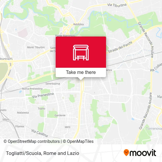 Togliatti/School map