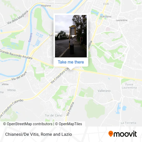 Chianesi/De Vitis map