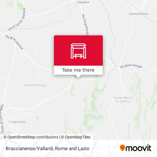 Braccianense/Vallardi map