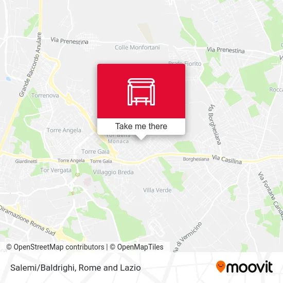 Salemi/Baldrighi map