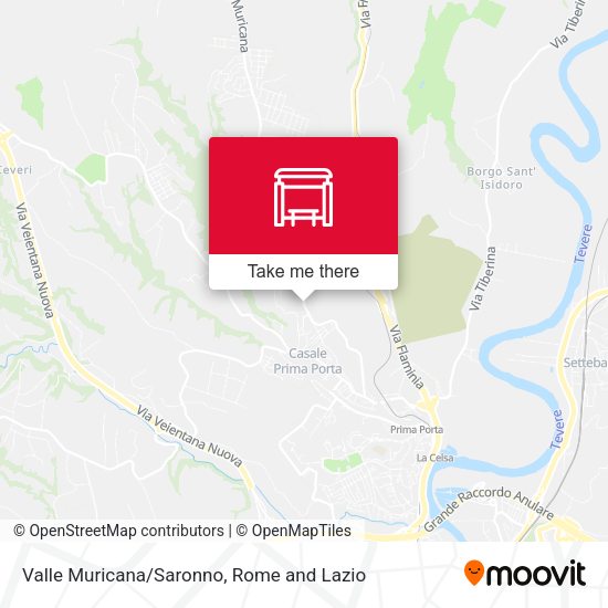 Valle Muricana/Saronno map