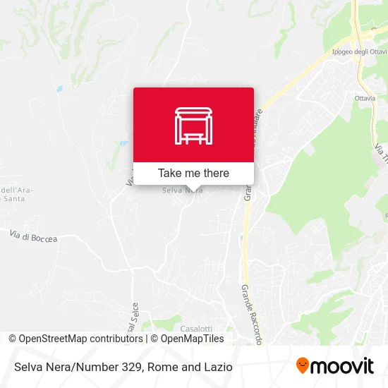 Selva Nera/Number 329 map