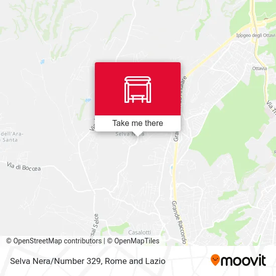 Selva Nera/Number 329 map