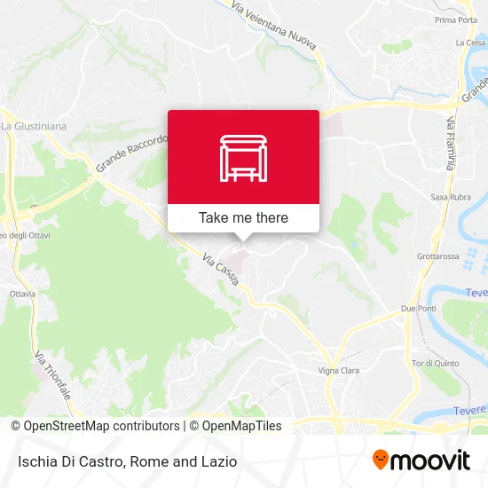 Ischia Di Castro map