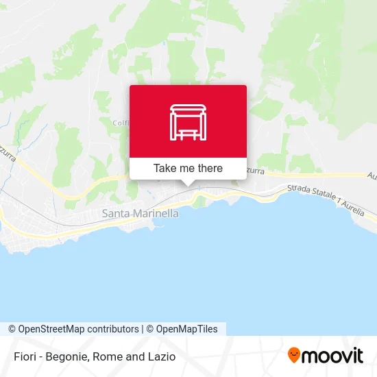 Flowers - Begonias map