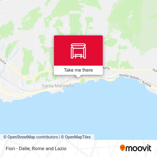 Flowers - Dahlias map