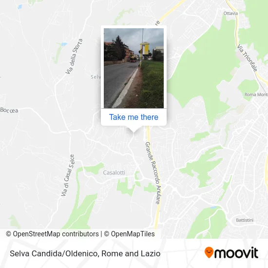 Selva Candida/Oldenico map