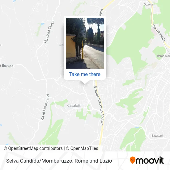 Selva Candida/Mombaruzzo map