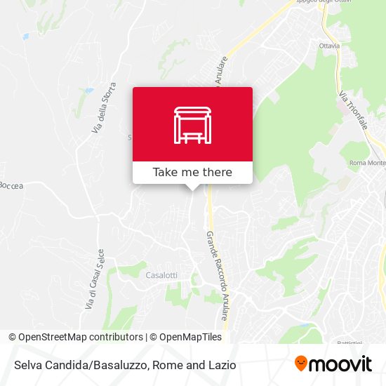 Selva Candida/Basaluzzo map