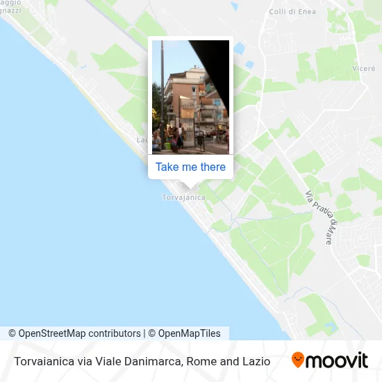 Torvaianica via Viale Danimarca map