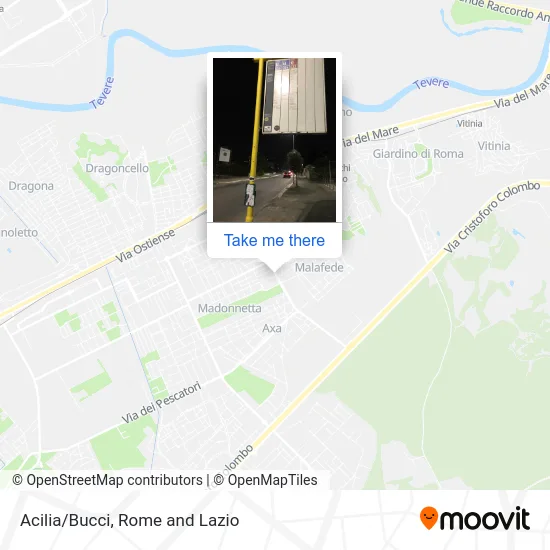 Acilia/Bucci map
